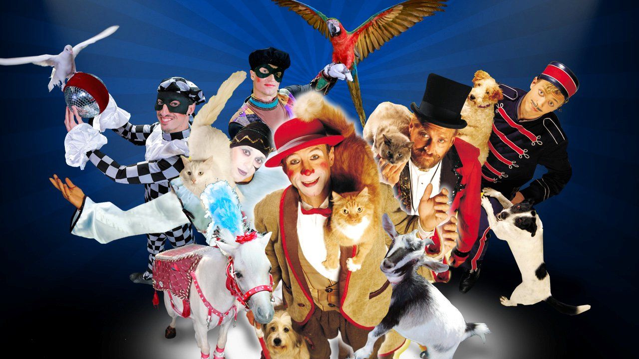 Pet Circus